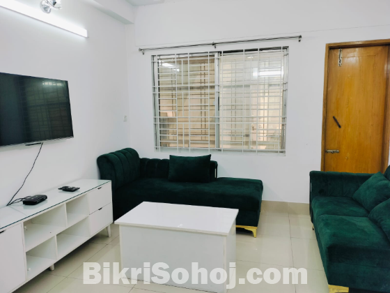 Fully Furnished Luxury 3BHK Apartment for Rent
